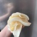 鱼胶花胶10头北海阴阳鱼胶深海滋补海味干货孕期产后恢复