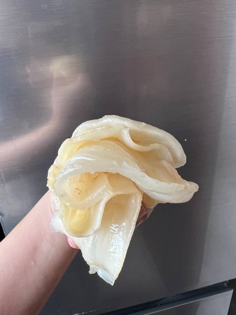 鱼胶花胶10头北海阴阳鱼胶深海滋补海味干货孕期产后恢复