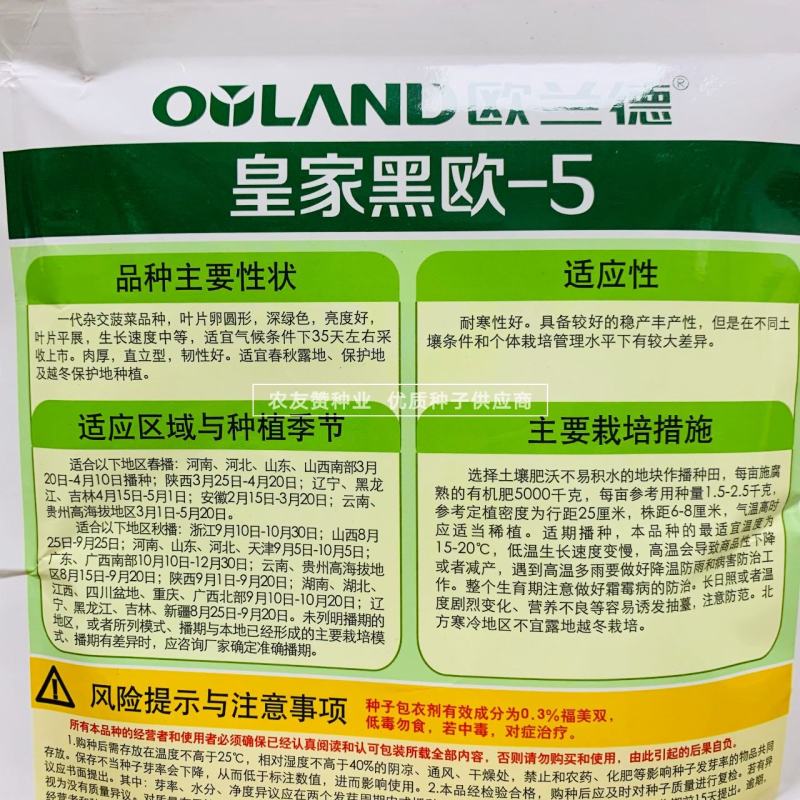 黑圆叶菠菜种子欧兰德黑欧-5菠菜种子叶肉厚深绿耐寒菜种