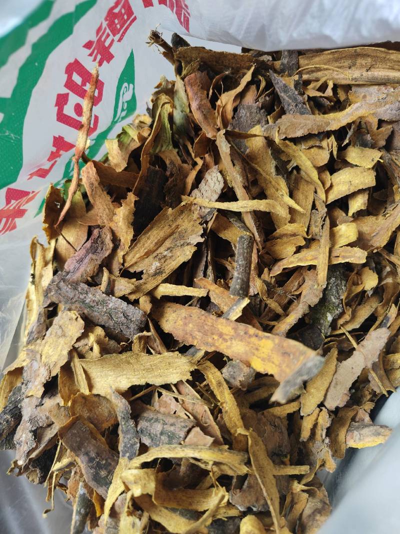 黄柏下料