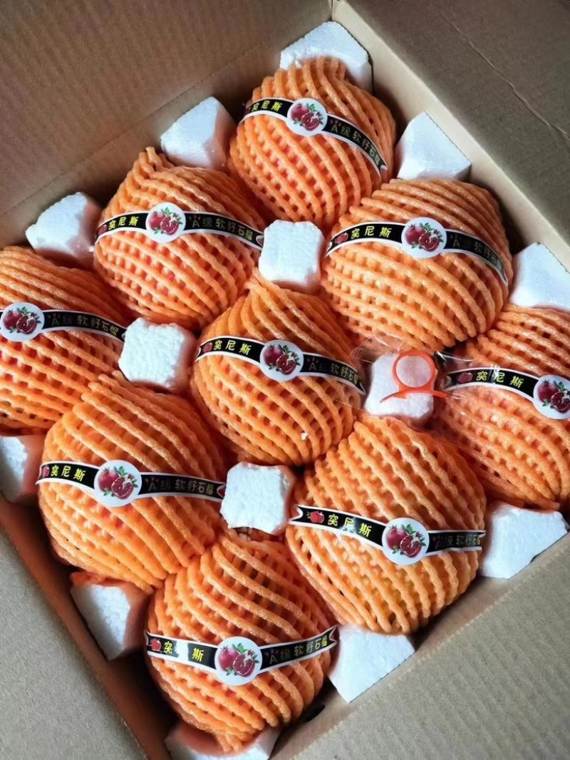 西昌石榴
