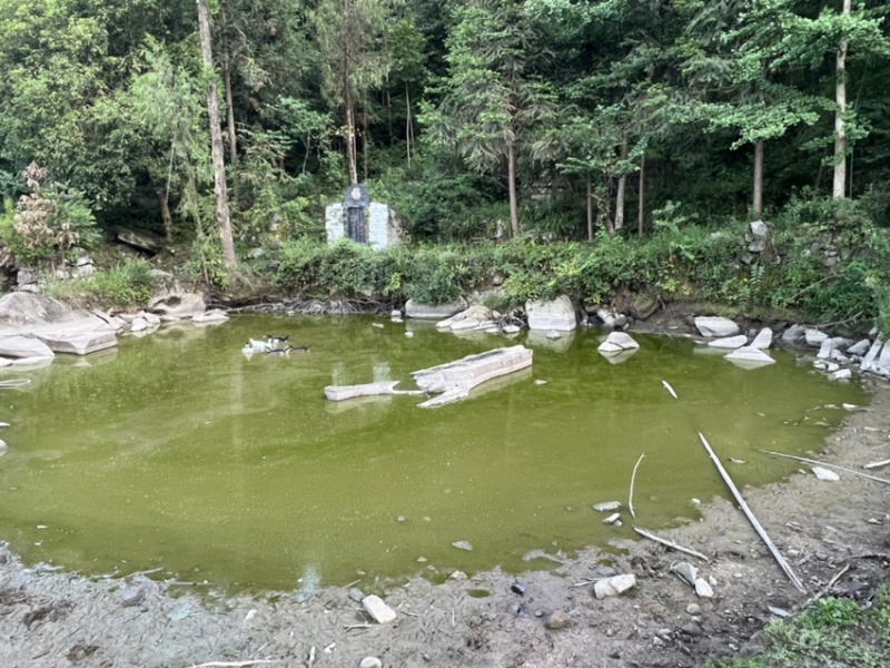 荒山荒地农村房子