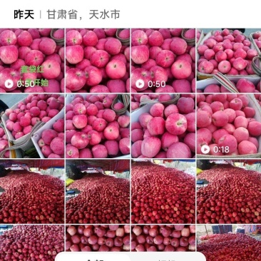 天水套袋红苹果属于早期货，香脆可口，果肉厚实