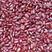 赤小豆红小豆中药材批发赤小豆质量保证量大从优