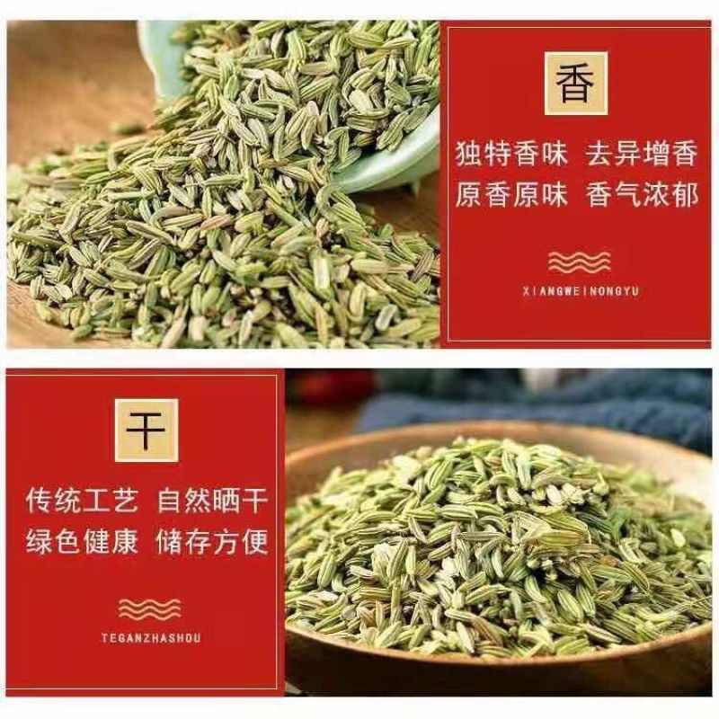 正宗小回香商用批发调料种子新鲜小回香批发包邮
