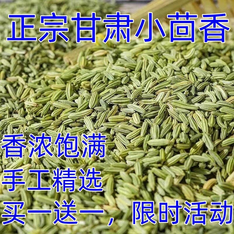 正宗小回香商用批发调料种子新鲜小回香批发包邮