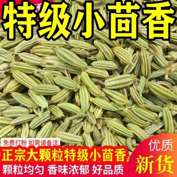 正宗小回香商用批发调料种子新鲜小回香批发包邮