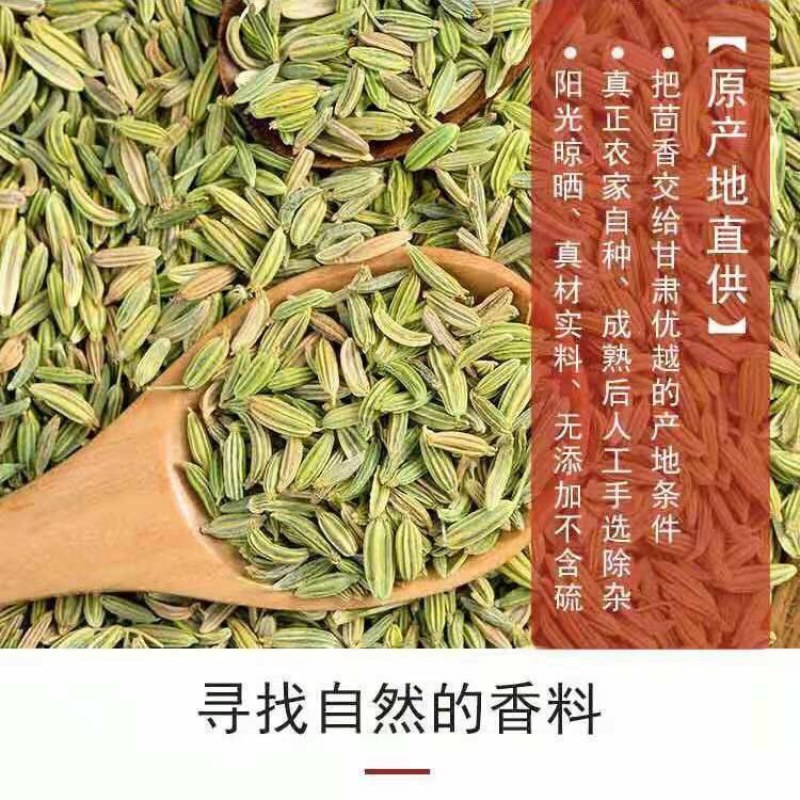 正宗小回香商用批发调料种子新鲜小回香批发包邮