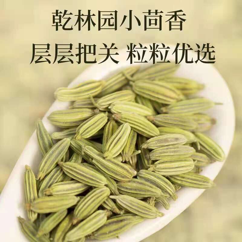 正宗小回香商用批发调料种子新鲜小回香批发包邮