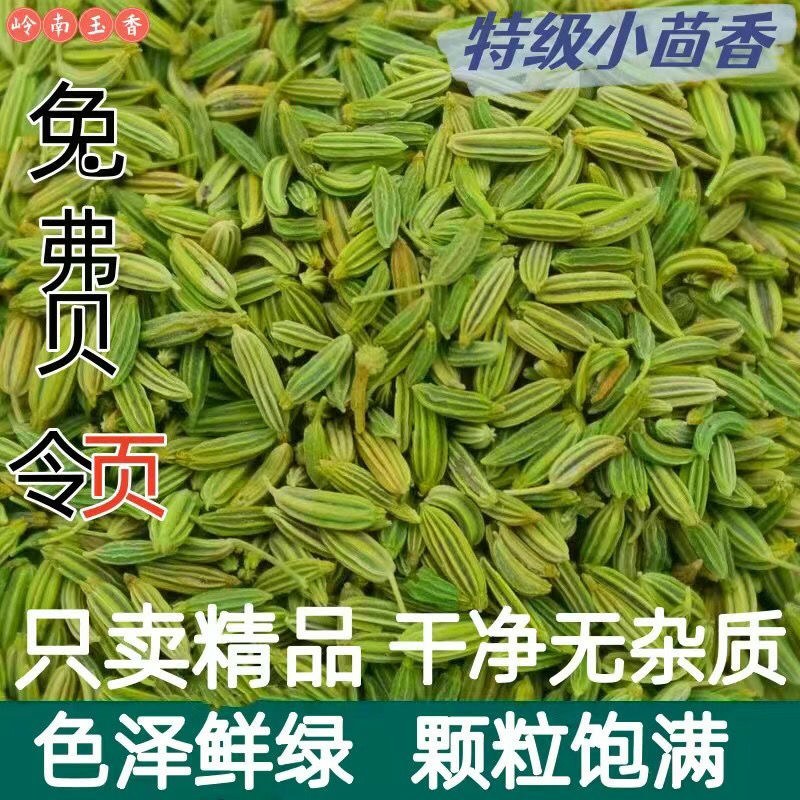 正宗小回香商用批发调料种子新鲜小回香批发包邮