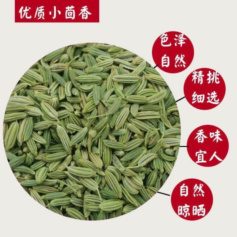 正宗小回香商用批发调料种子新鲜小回香批发包邮