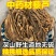 中药材云南藜芦无硫黎芦根力芦野生梨芦山葱憨葱七里丹包邮炙