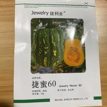 捷蜜60天南瓜种子