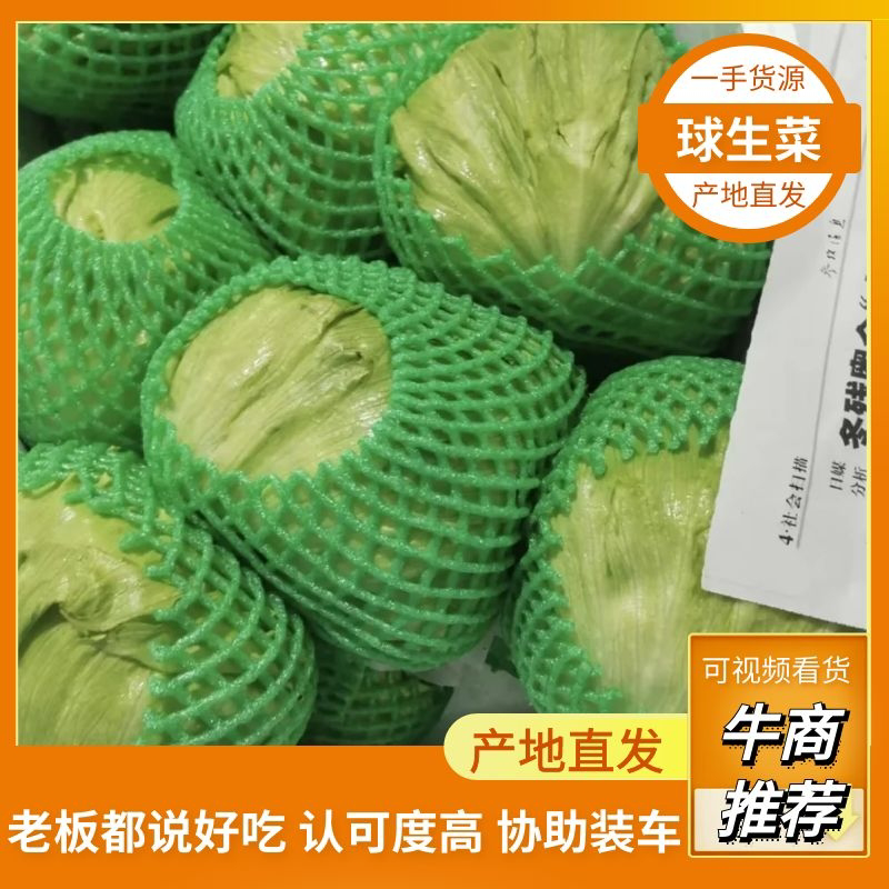 坝上精品球生菜，质量好，价格优。支持全国发货