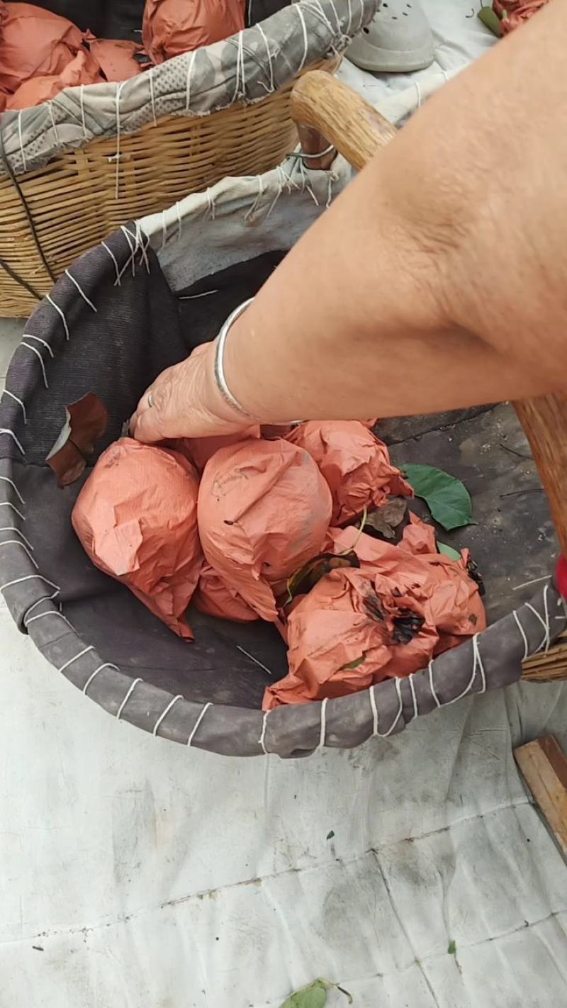 精品黄冠梨