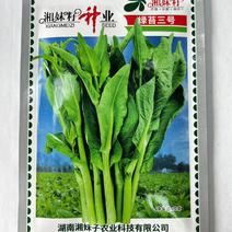 绿苔三号菜苔种子