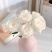 白玫瑰花鲜花云南昆明基地直发白雪山坦尼克鲜花