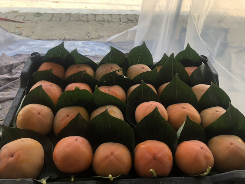 甜心脆柿。