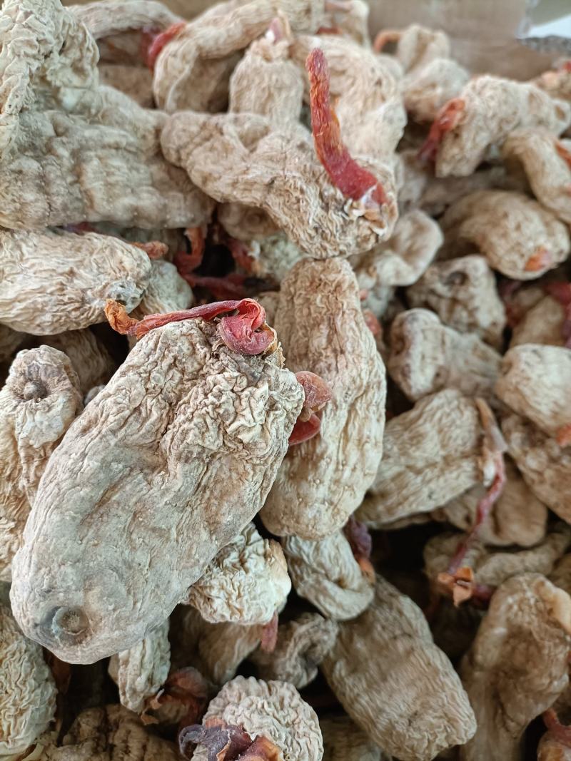 优质云南春天麻营养价值高品质保证一手货源