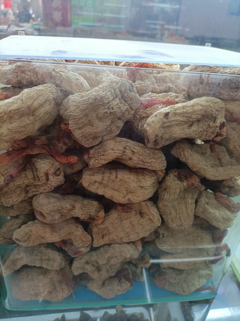 优质云南春天麻营养价值高品质保证一手货源