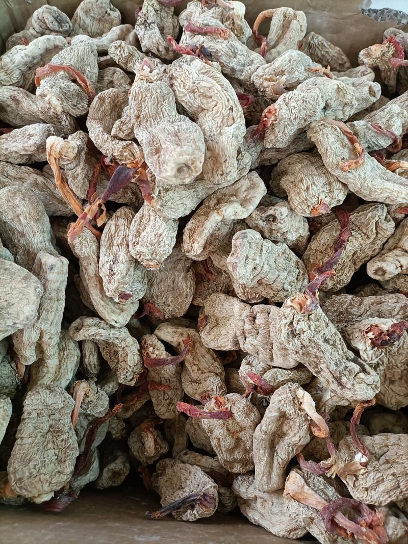 优质云南春天麻营养价值高品质保证一手货源