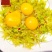 浙江及云南新鲜铁皮石斛干花味香色泽鲜亮长年批发3斤起