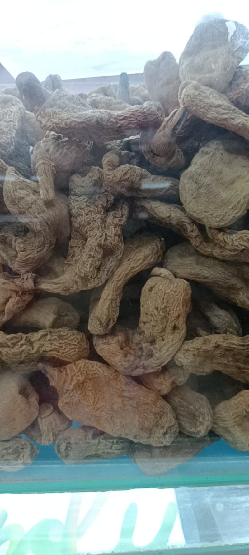 优质云南春天麻营养价值高品质保证一手货源