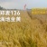 郑麦136小麦种子，原厂第一代原产量高，农户认可的好种子