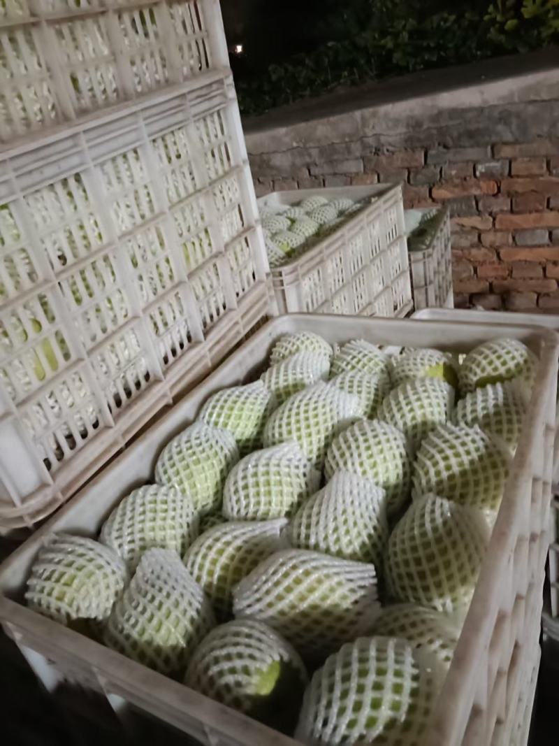 阳光玫瑰梨各种水果