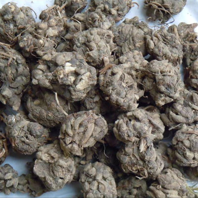 猫爪草，水洗两边，产地一手货源，现货，24小时内发货