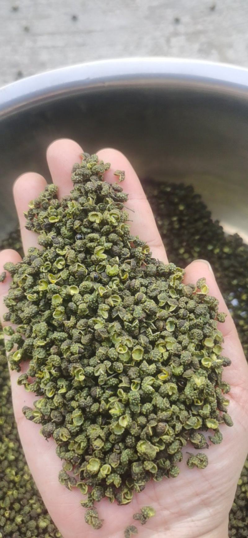 江津青花椒，精选无籽无刺，开口率80%，支持对接全国市场