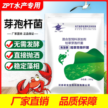 芽孢杆菌