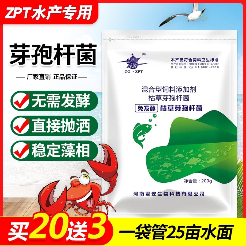 芽孢杆菌