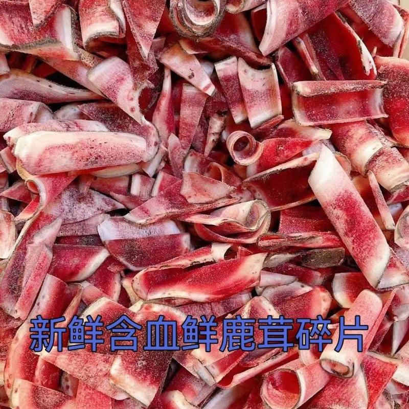 梅花鹿鲜鹿茸片正品保证质量鹿乡原厂地地发货
