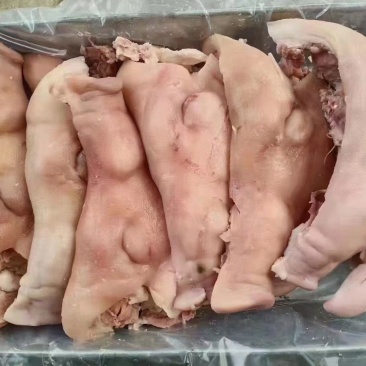 山东临沂猪脸，国产纯白头，干净无毛，