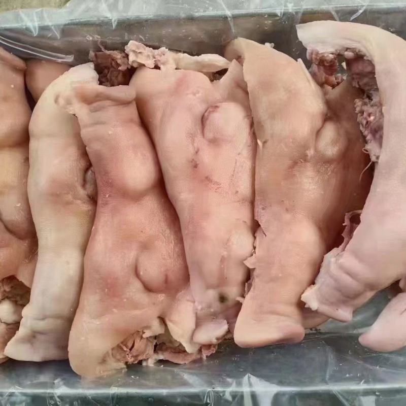 山东临沂猪脸，国产纯白头，干净无毛，