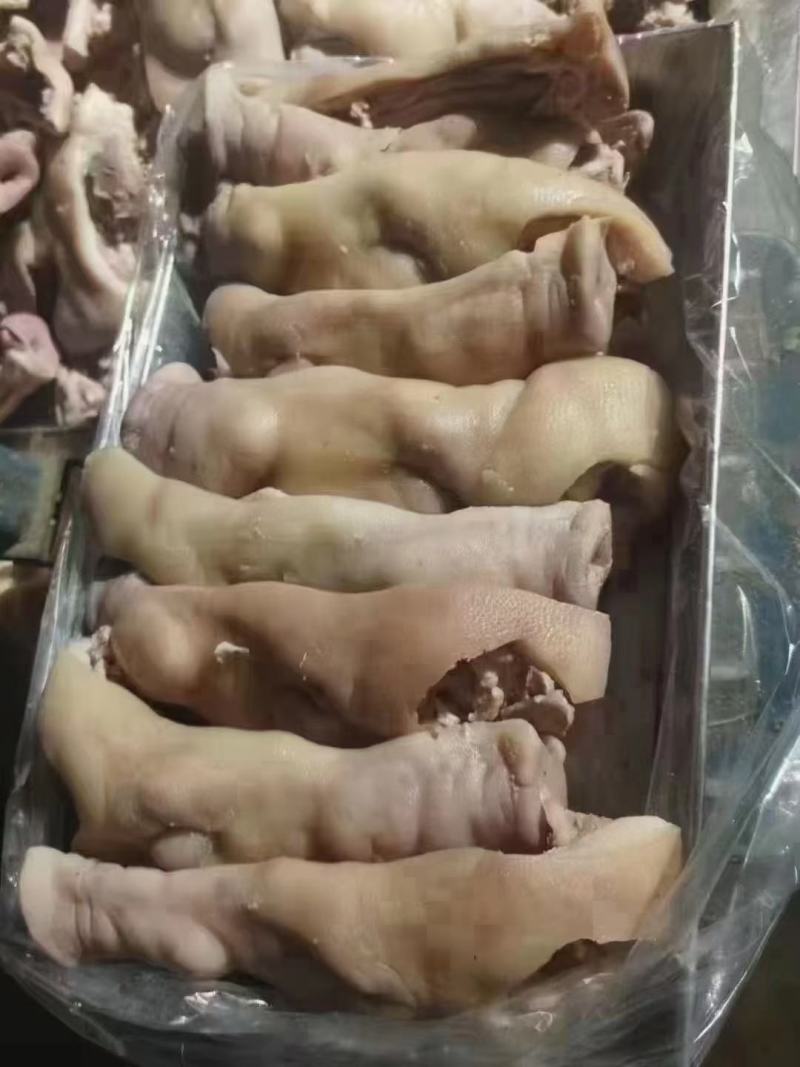 山东临沂猪脸，国产纯白头，干净无毛，