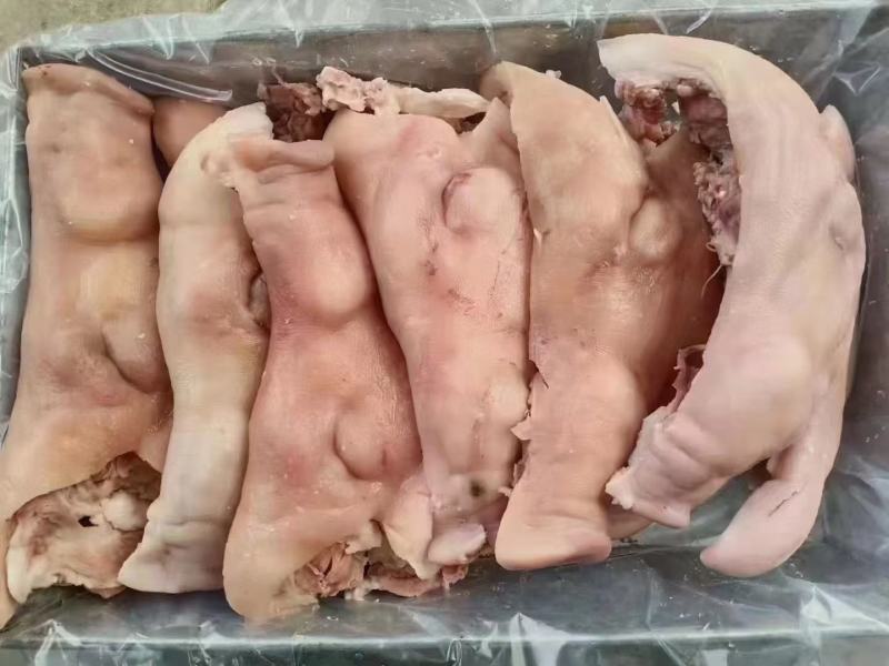 山东临沂猪脸，国产纯白头，干净无毛，