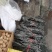 福建海带头，35-40公分长，精品货无污染，一手货源