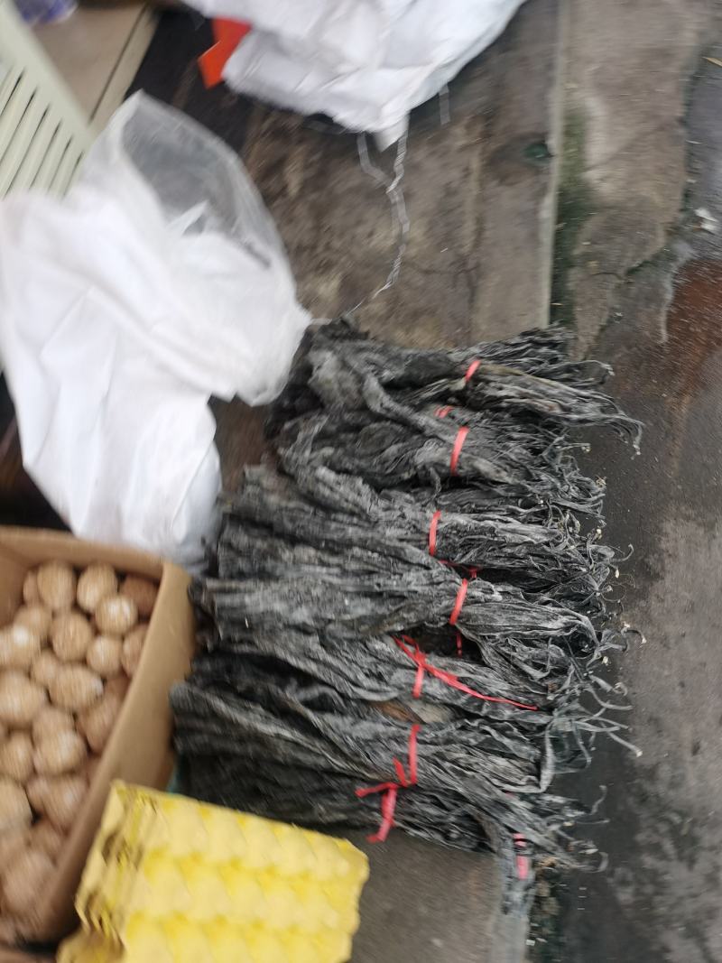 福建海带头，35-40公分长，精品货无污染，一手货源