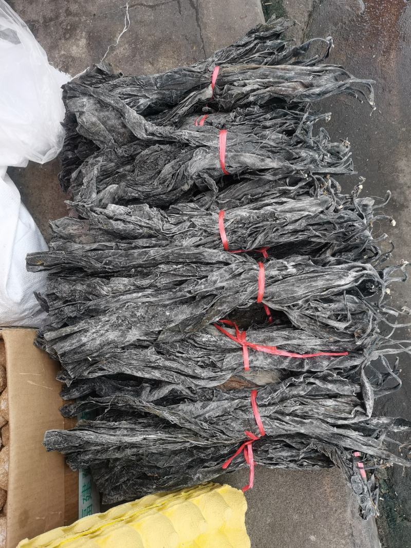 福建海带头，35-40公分长，精品货无污染，一手货源