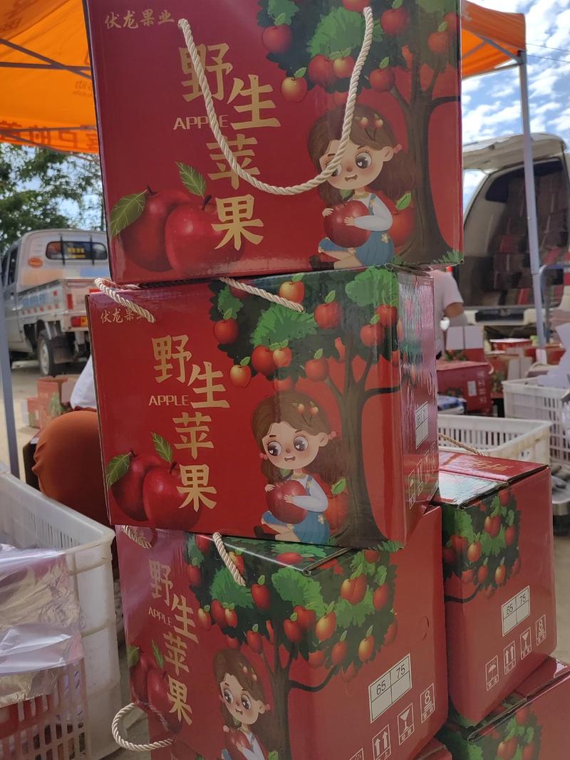 云南昭通糖心苹果净果4斤礼盒包装