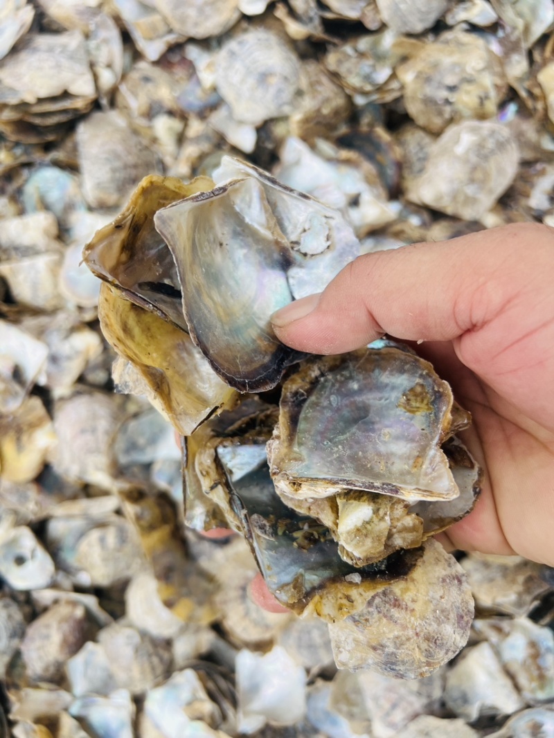广西珍珠母水洗珍珠母规格齐全产地直供欢迎咨询