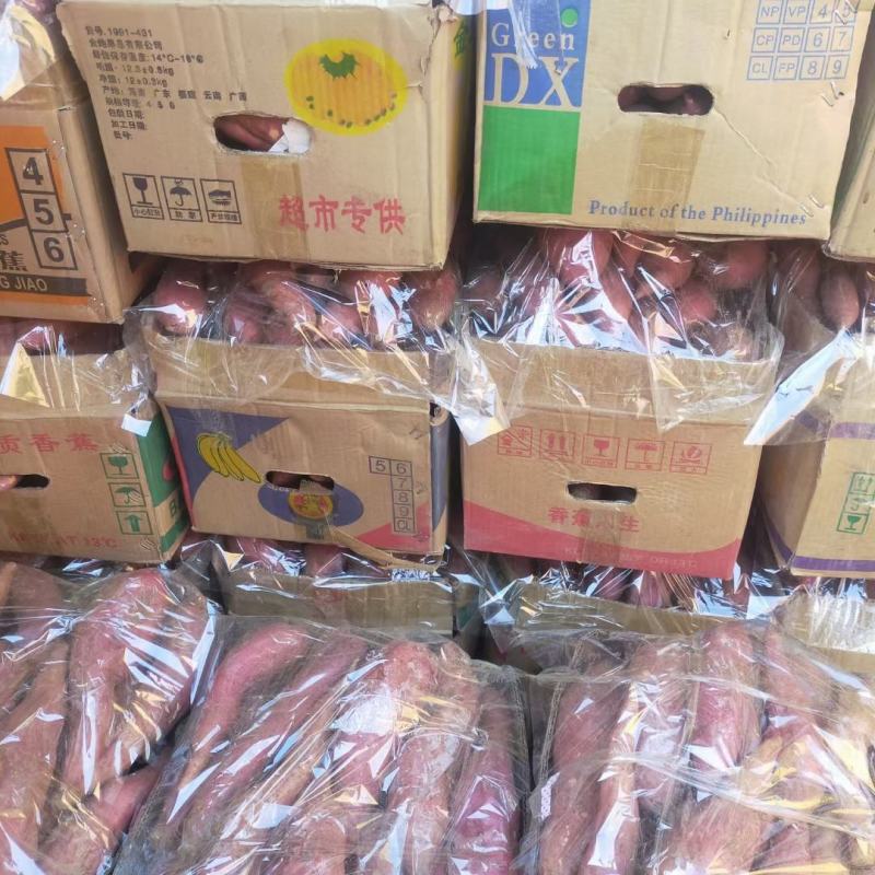 湖北西瓜红红薯，市场货、工厂货、电商货、养殖货均有
