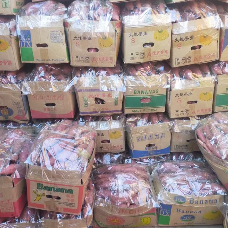 湖北西瓜红红薯，市场货、工厂货、电商货、养殖货均有