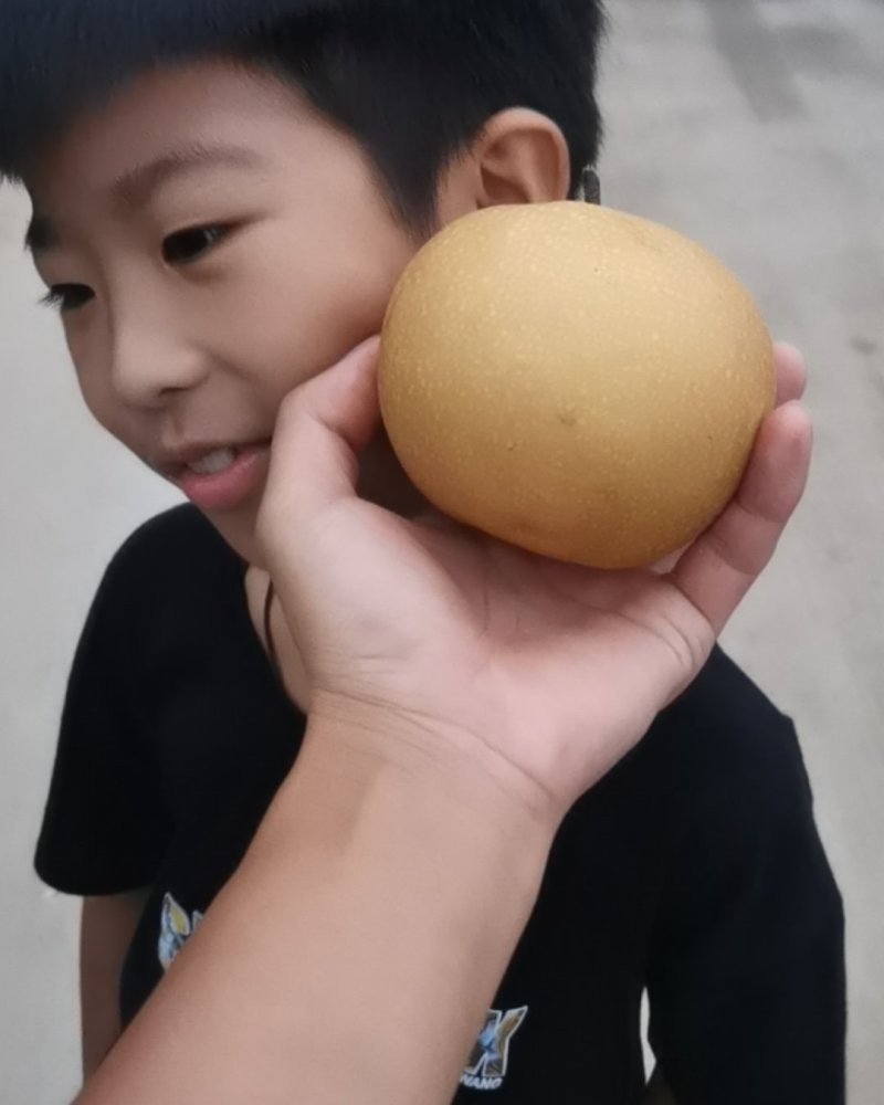 秋月梨