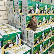 【一件代发】广西荔浦毛芋头大量供应支持全国发货保质保量