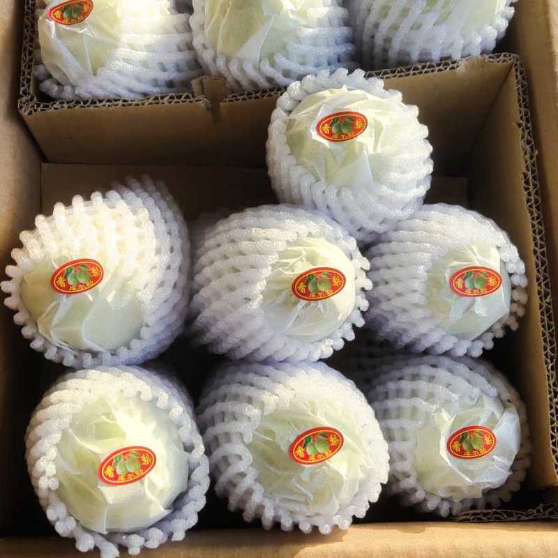 万荣县红香酥梨，香甜可口，产地直发，一手货源