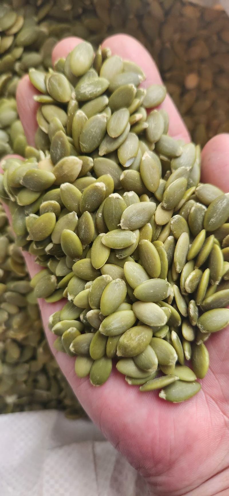 南瓜籽批发去壳生南瓜仁南瓜子新货食品级生南瓜子