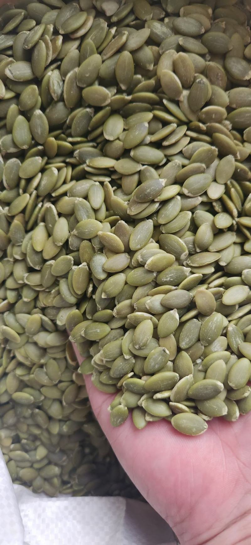 南瓜籽批发去壳生南瓜仁南瓜子新货食品级生南瓜子